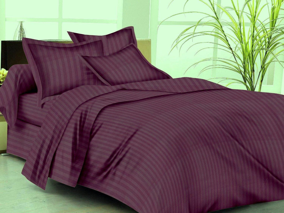 Trance Home Linen 100% Cotton king size/Queen size Fitted Bedsheet with Pillow Covers