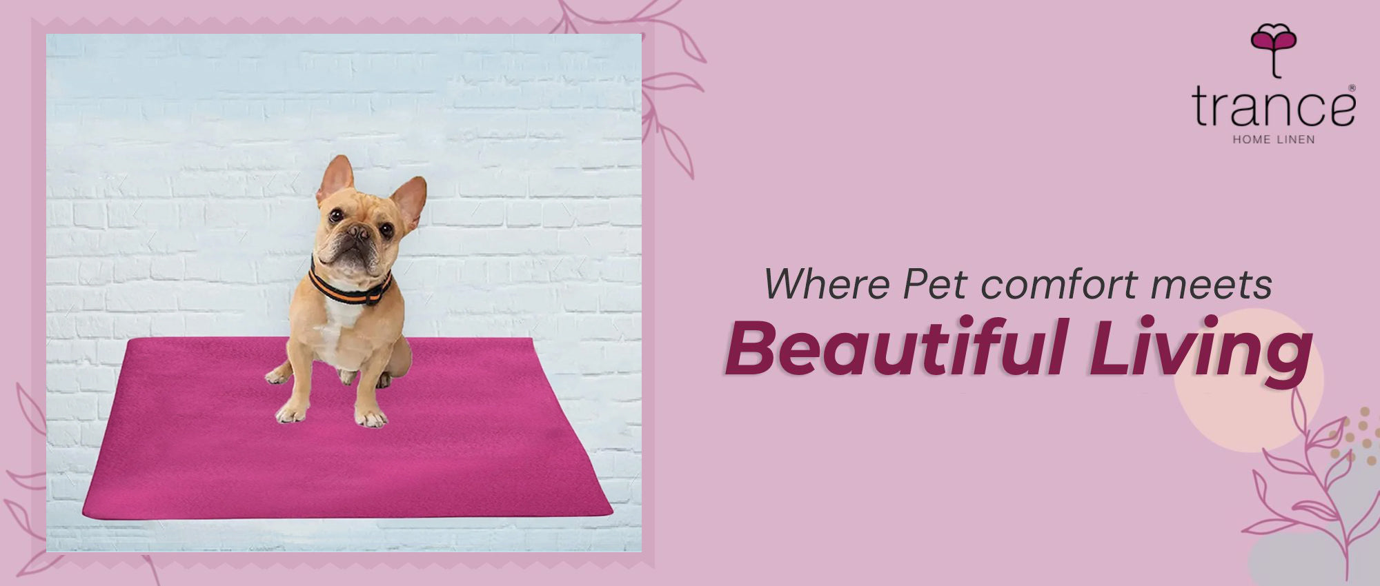 Where Pet comfort meets Beautiful Living