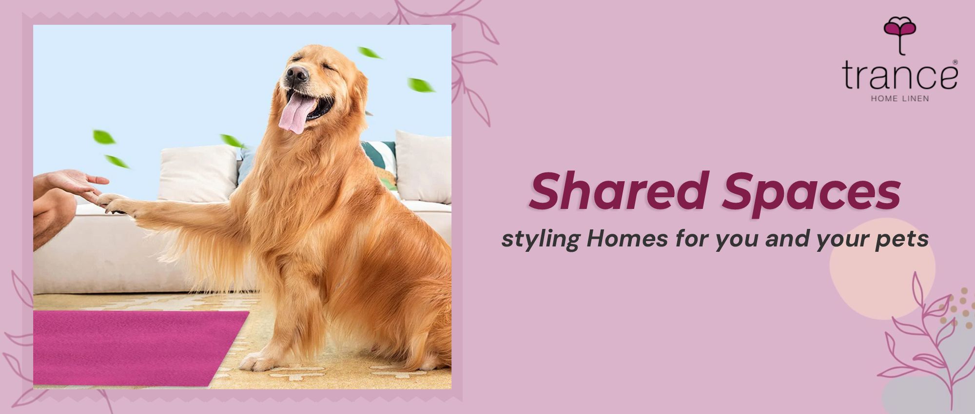 Shared Spaces - styling Homes for you and your pets