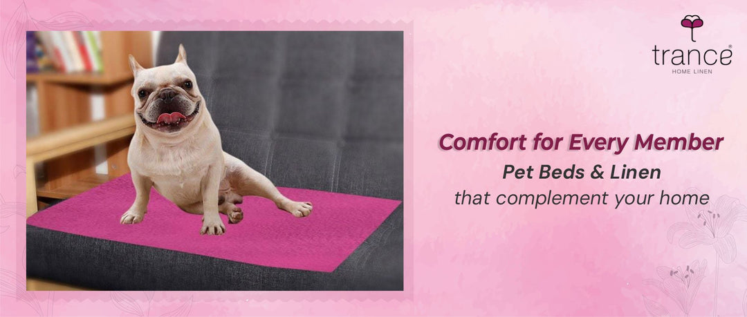 Comfort for Every Member Pet Beds & Linen that complement your home