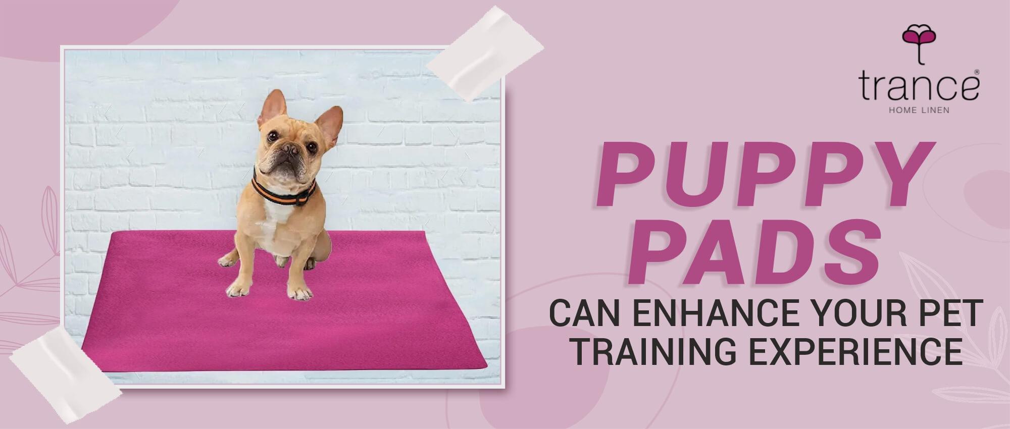 washable-dog-pee-pads-in-India