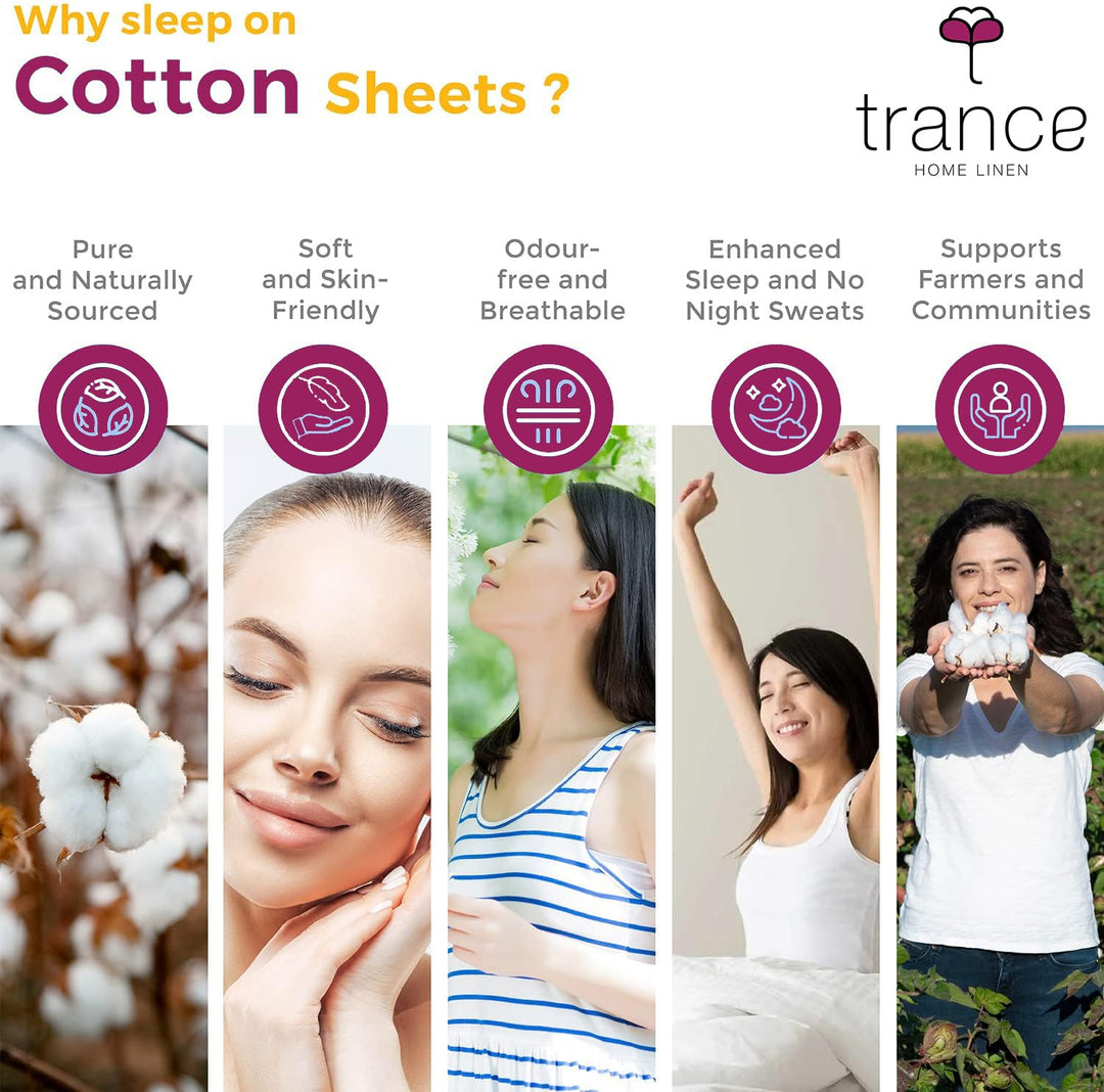 400 TC Cotton Plain Bed Sheet with Pillow Covers - Maroon