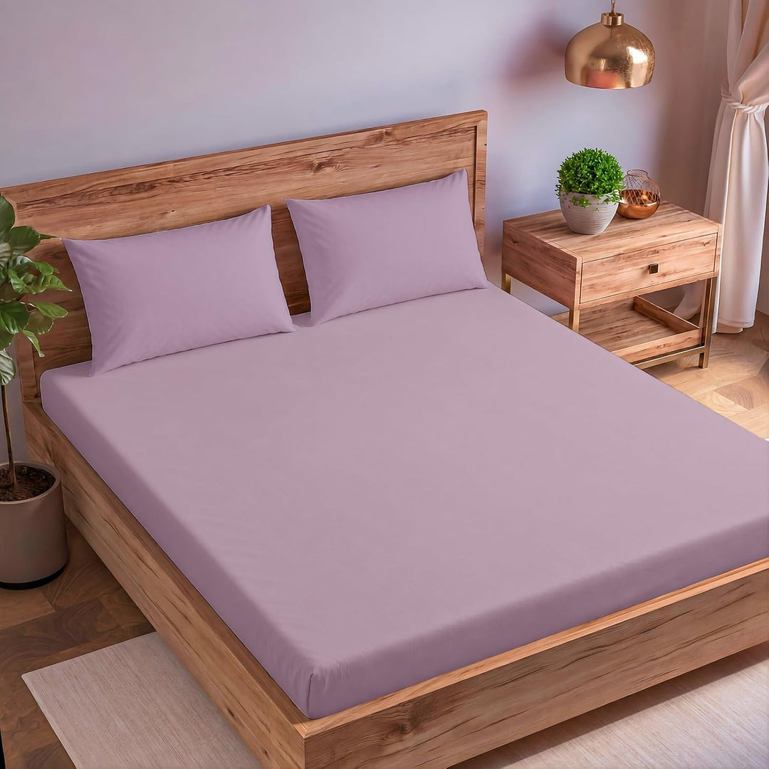Cotton Queen  Percale Fitted Bedsheet with 2 Pillow Cover (100% Cotton & 200 TC)