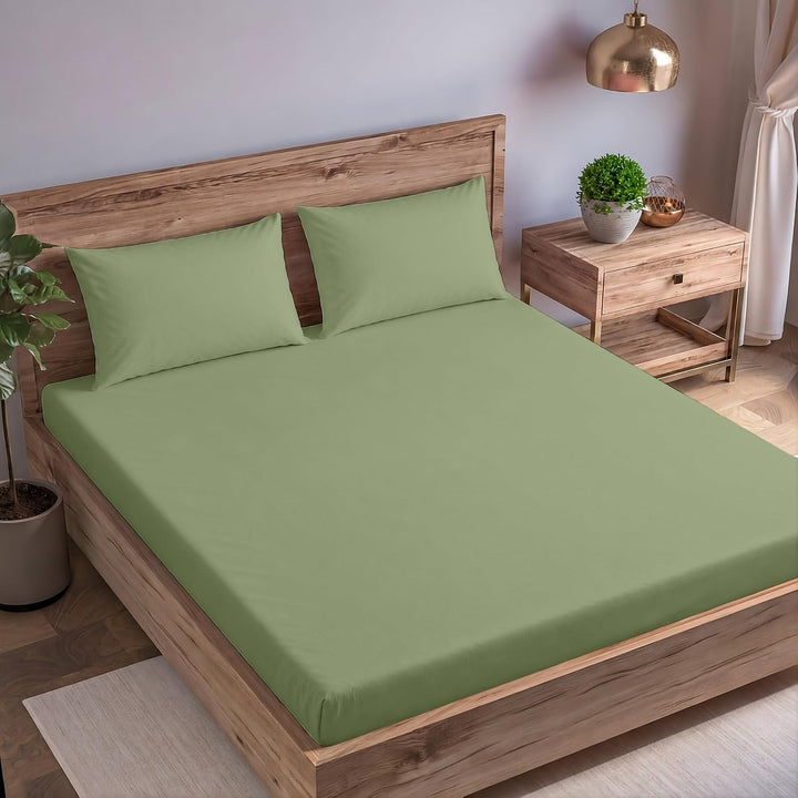 Cotton Queen  Percale Fitted Bedsheet with 2 Pillow Cover (100% Cotton & 200 TC)