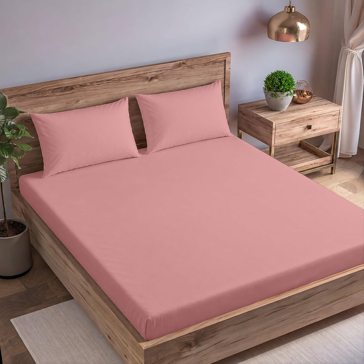 Cotton Queen  Percale Fitted Bedsheet with 2 Pillow Cover (100% Cotton & 200 TC)