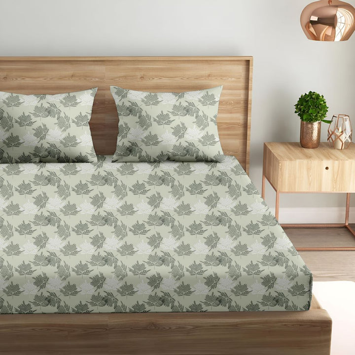 Cotton Printed Fitted Bedsheet with Pillow Covers (Ferns Paradise 100% Cotton &144 TC)