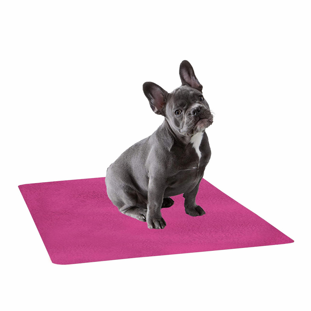 Waterproof Pet Training Puppy Pad (Large) - Trance Home Linen