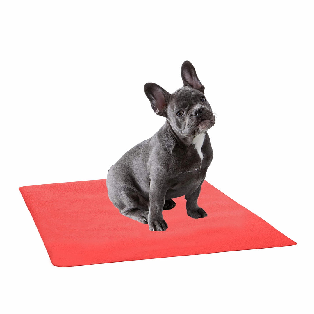 Waterproof Pet Training Puppy Pad (Large) – Trance Home Linen