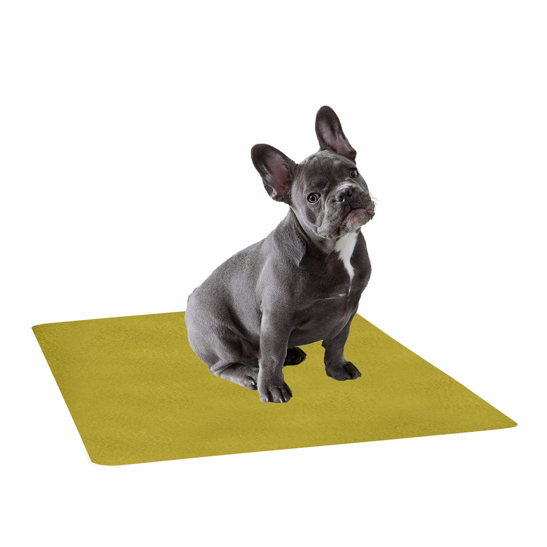 Waterproof Pet Training Puppy Pad (Medium) - Trance Home Linen