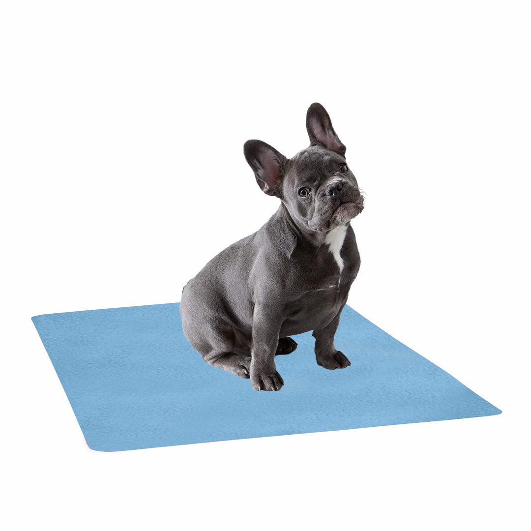 Waterproof Pet Training Puppy Pad (Medium) - Trance Home Linen