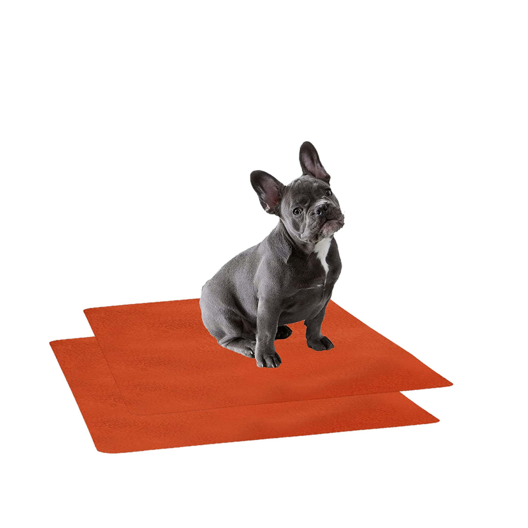 Waterproof Pet Training Puppy Pad (Small & Pack of 2) - Trance Home Linen