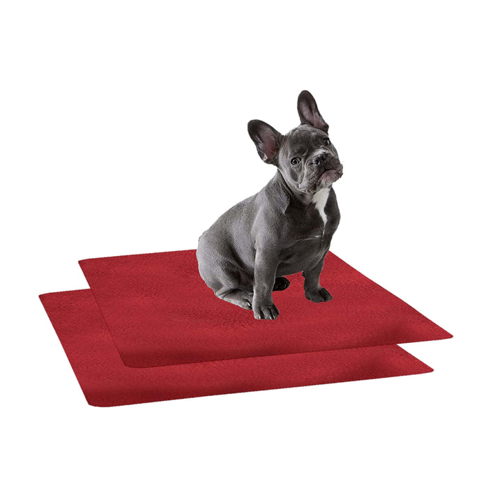 Waterproof Pet Training Puppy Pad (Small & Pack of 2) - Trance Home Linen