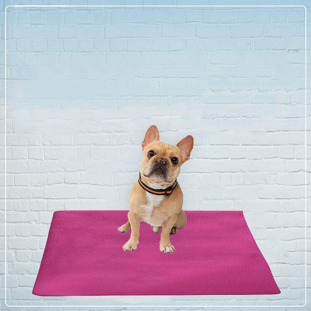 Waterproof Pet Training Puppy Pad (Small) - Trance Home Linen