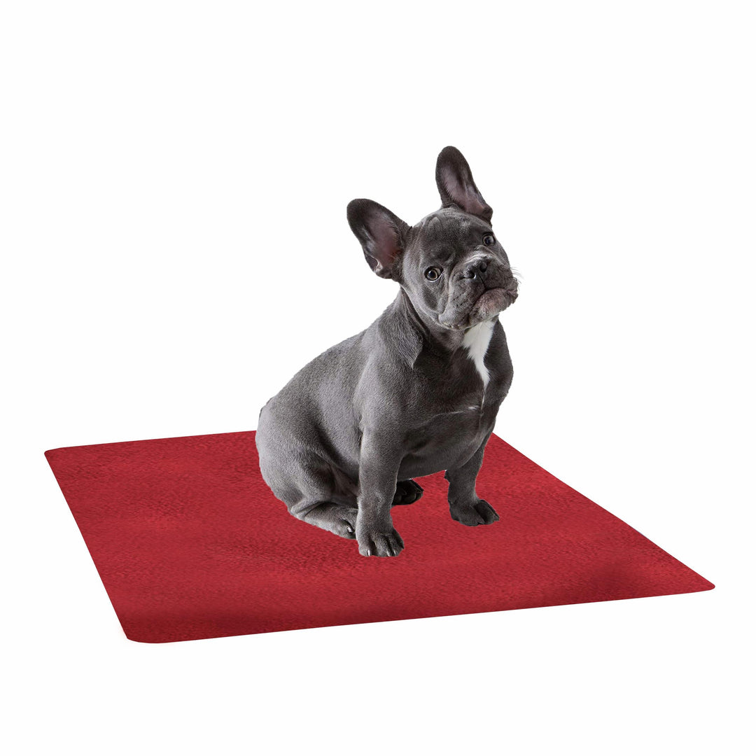 Waterproof Pet Training Puppy Pad (Small) - Trance Home Linen